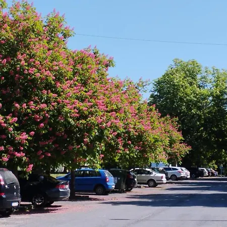 Appartamento Rózsa *