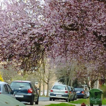 Appartamento Rózsa *