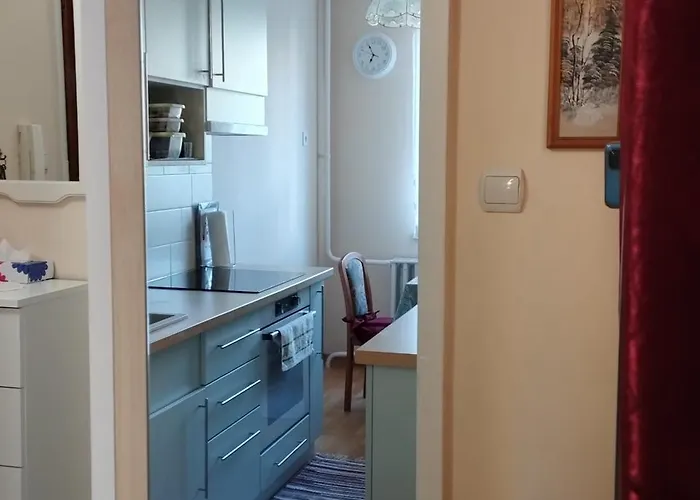 公寓 Rozsa Lakas 凯斯特海伊