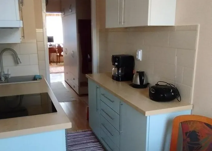 公寓 Rozsa Lakas *