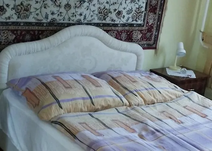 Rozsa Lakas 凯斯特海伊