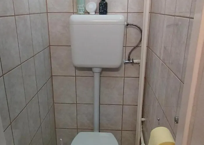 Rózsa *