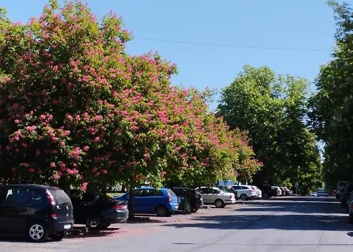 公寓 Rozsa Lakas *