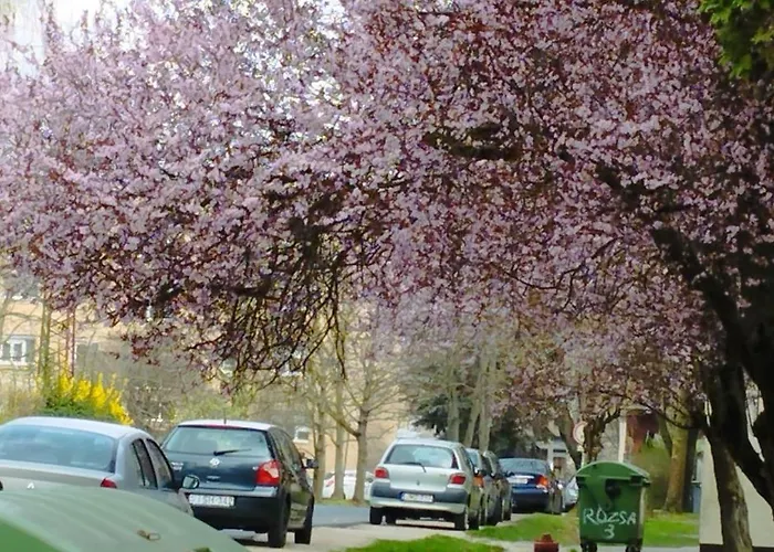 公寓 Rozsa Lakas *