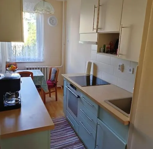 Rozsa Lakas 公寓 凯斯特海伊