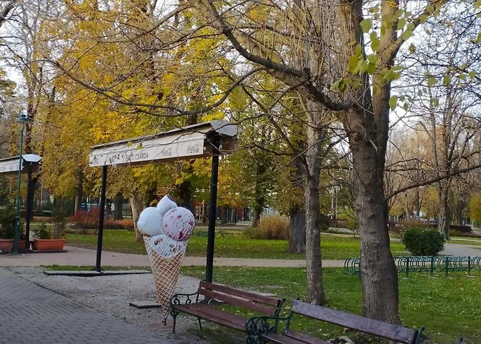 Rozsa Lakas 公寓 *