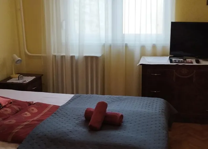 公寓 Rozsa Lakas *