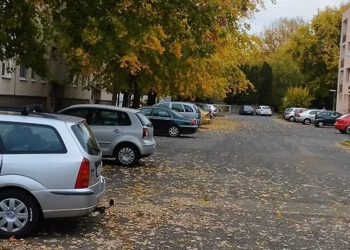Rózsa *