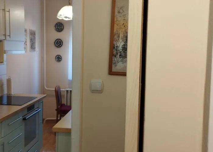 Rozsa Lakas 凯斯特海伊