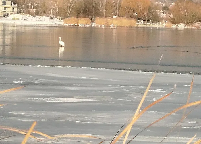 公寓 Rozsa Lakas *