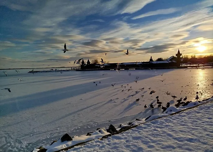 公寓 Rozsa Lakas 凯斯特海伊